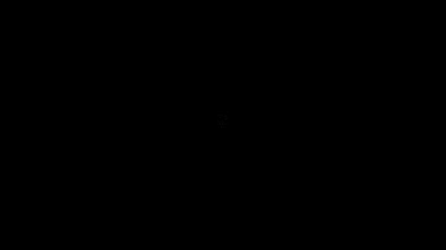 14.gif