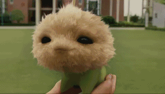 24.gif