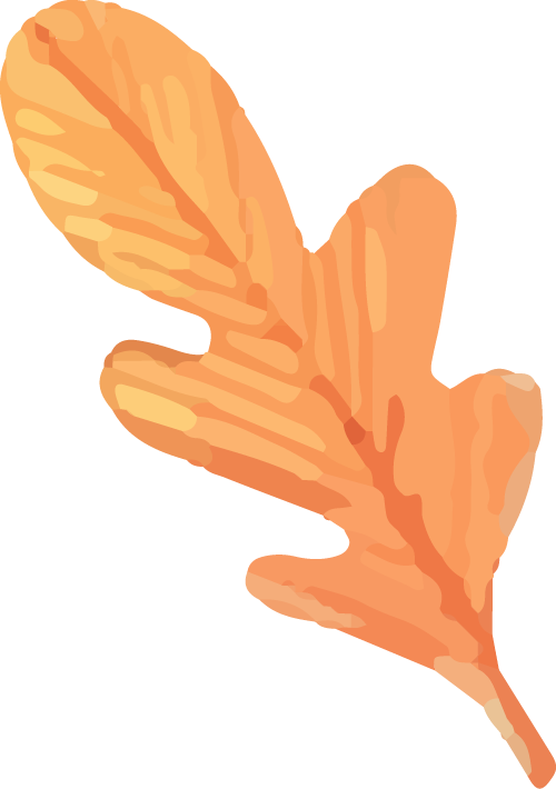 35.png