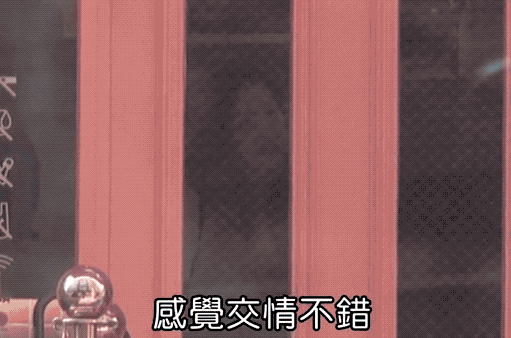 11.gif
